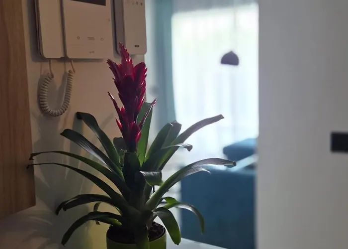 Apartman Casa Galene - Terrace & Heated Pool Costa Adeje (Tenerife)